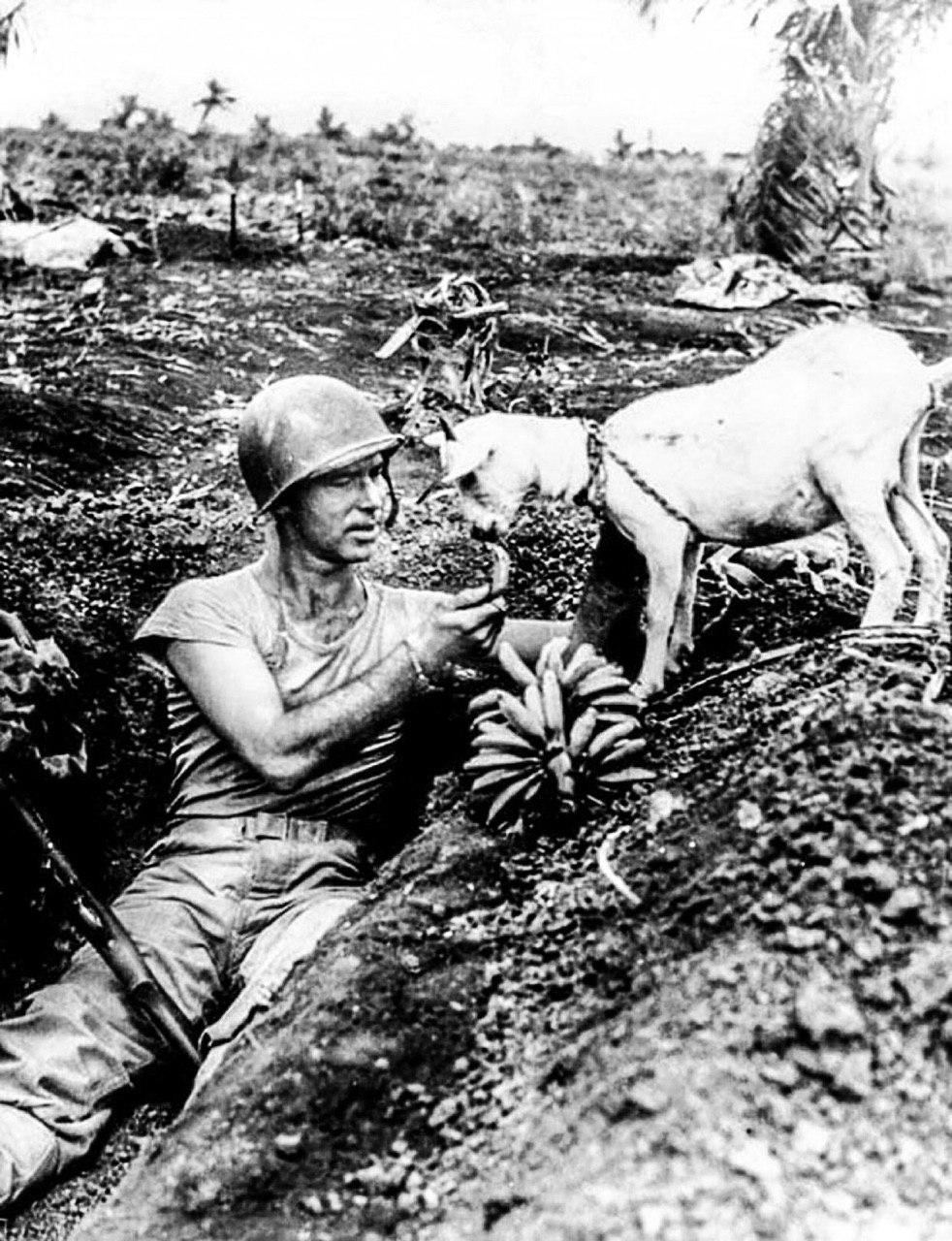 Битва за остров Сайпан 1944
